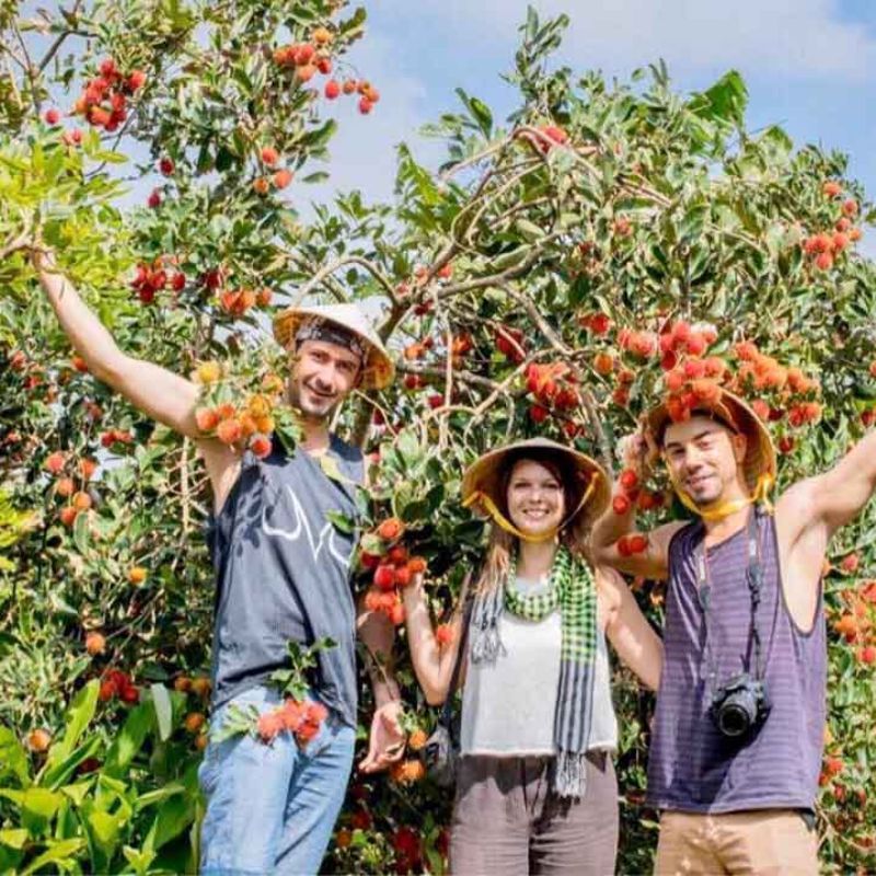 5 Must-Try Experiences in the Mekong Delta for an Unforgettable Journey