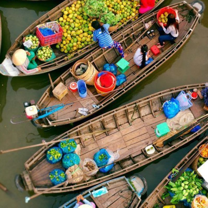 Mekong Delta: Where Life Flows with the River and Nature Thrives 