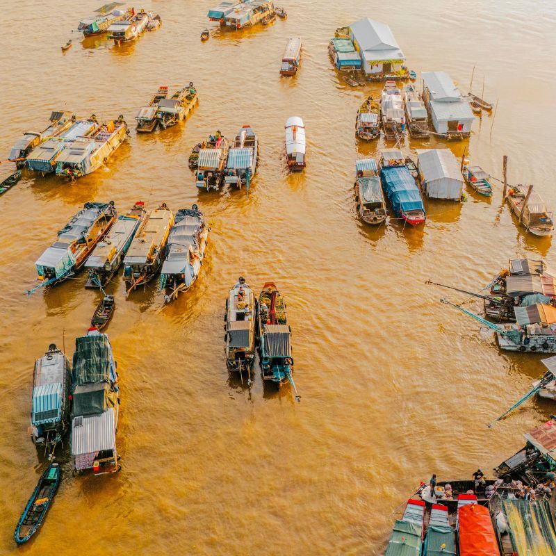Mekong Delta: Where Life Flows with the River and Nature Thrives 