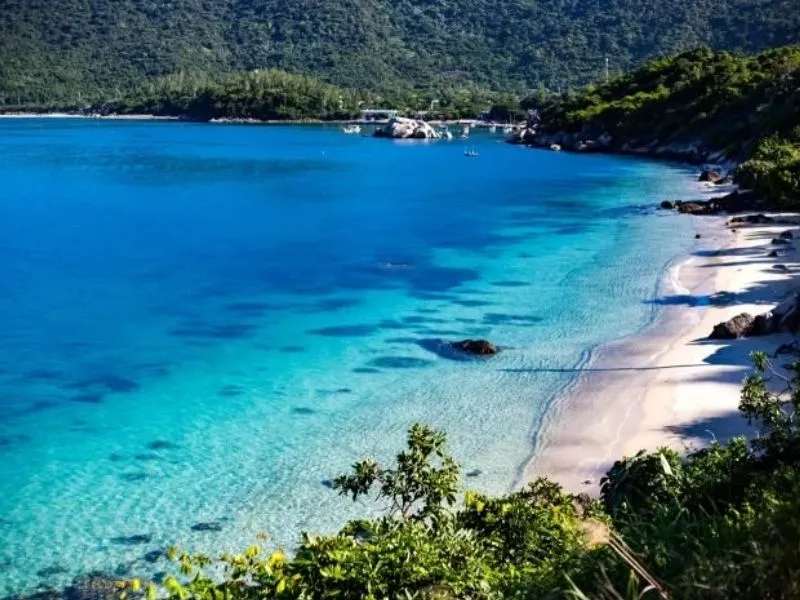 Travel Insurance