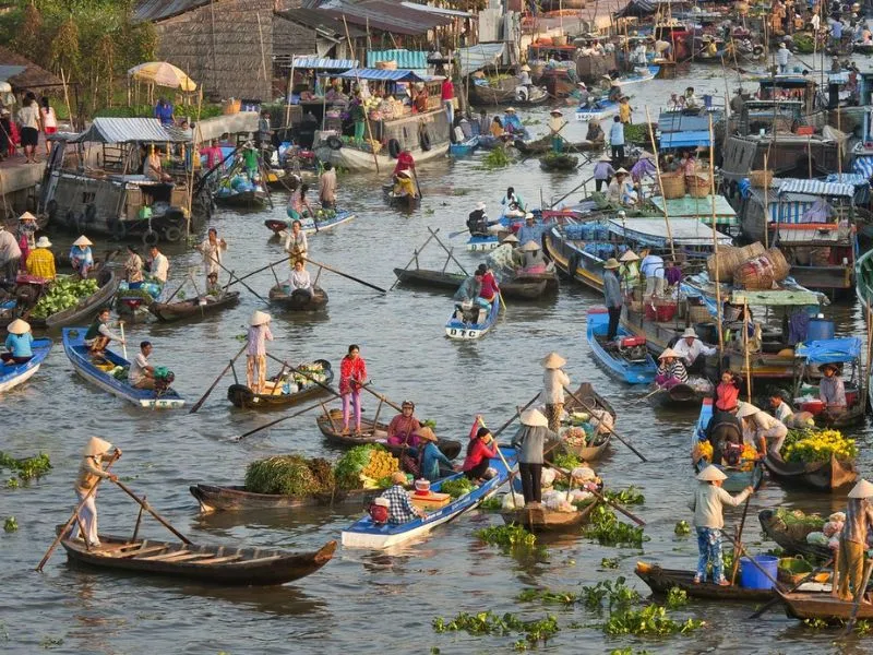 Mekong Delta: Where Life Flows with the River and Nature Thrives 